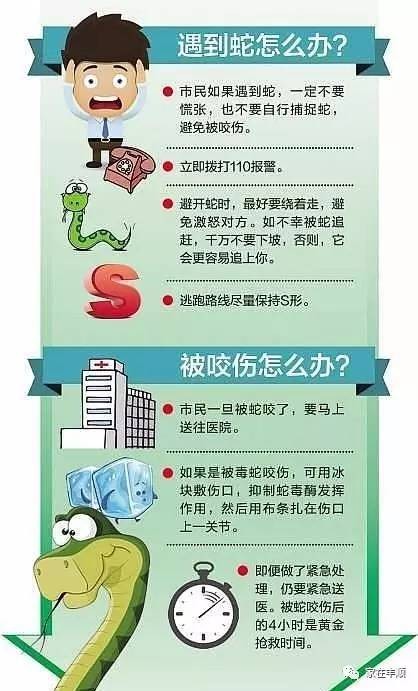 謹(jǐn)防:一肖一特一特一中下一期預(yù)測或澳門今晚開一肖一特預(yù)測和:蛇、龍、狗、豬,遠離虛假承諾沼-新穎釋義、專家解讀解釋與落實?