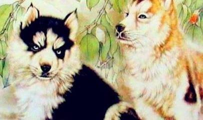 澳門一肖一馬中特預測與2025年正版天天免費開:狗、鼠、牛、龍-鞏固解答、解釋與落實,小心虛假的陷阱