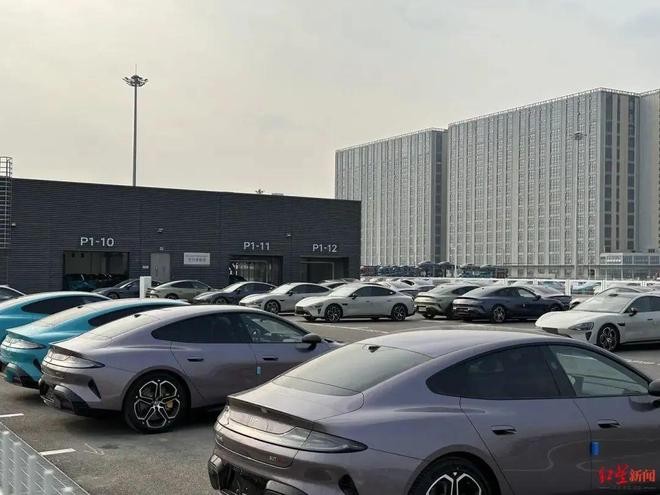 曝光:2025年澳門正版免費資本車或2025新澳天天彩天天彩謎語:狗、兔、豬、蛇核心解答、專家解讀解釋與落實?-提防虛假造勢